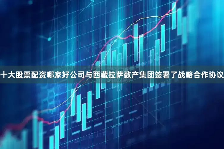 十大股票配资哪家好公司与西藏拉萨数产集团签署了战略合作协议